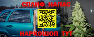 стафф Краснодар