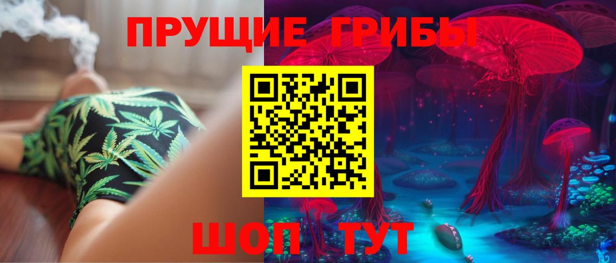 Галлюциногенные грибы мицелий Красный Сулин